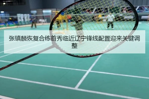 张镇麟恢复合练首秀临近辽宁锋线配置迎来关键调整