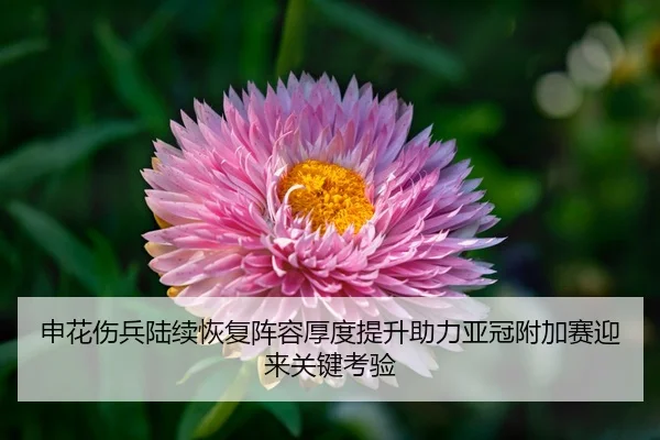 申花伤兵陆续恢复阵容厚度提升助力亚冠附加赛迎来关键考验
