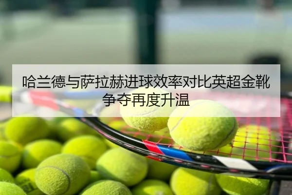 哈兰德与萨拉赫进球效率对比英超金靴争夺再度升温