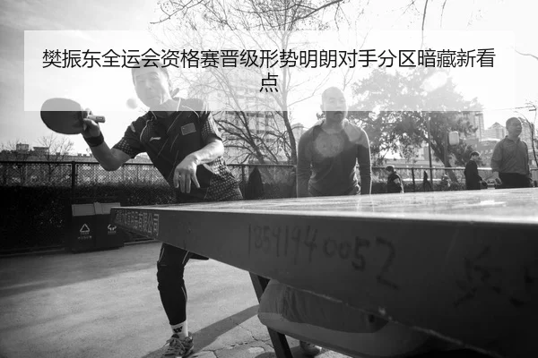 樊振东全运会资格赛晋级形势明朗对手分区暗藏新看点